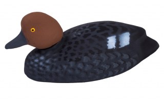 gogol duck1